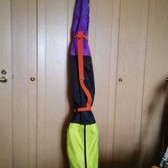 ダイナミックのカービングスキー板とポールの画像