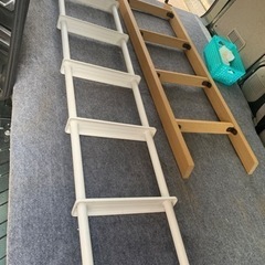 二段ベットのハシコ