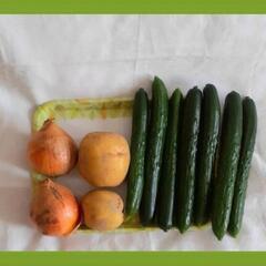 お取引き中★農家 とれたて 新鮮 野菜セット　レモン様