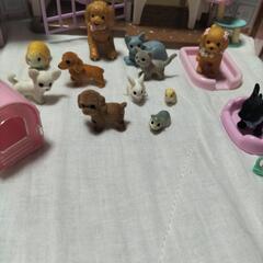 値下げします!おしゃれペットショップ!の画像