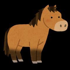 ある引退競走馬を探しています。情報提供お願いします。