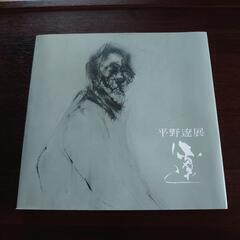 平野遼展 図録の画像