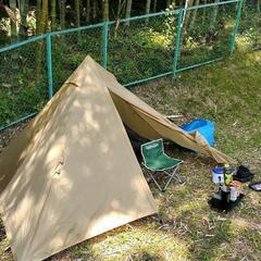 ソロティピーの中古が安い！激安で譲ります・無料であげます