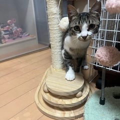 兄弟たちです！