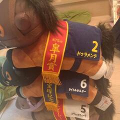 名馬トリオの画像