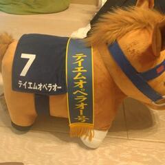 テイエムオペラオーの画像