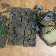 引き取り限定  爬虫類 ケージ サーモスタットなどの画像
