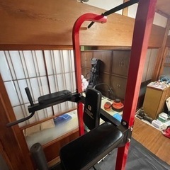 ファイティングロード  懸垂