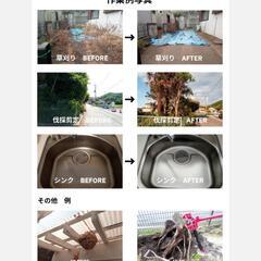 草刈り、剪定、伐採抜根、蜂駆除等やります！ - 前橋市
