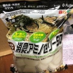 カブトムシのエサ