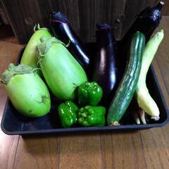 ４日収穫野菜　５日取引可能な方