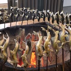 鮎の塩焼きと鮎の刺身を食べたい方で40歳から60歳までの限定2名...