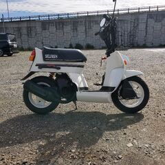 ホンダスカッシュ　カウル　フェンダー 値引き交渉できます。 ホンダスカッシュ カウル フェンダー 値引き交渉できます