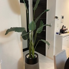 フェイクグリーン 観葉植物 オフィスにも