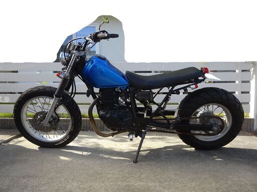 TW200 青 ローダウン ロンスイ スカチューン スパトラ カスタム 書類