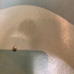 バンボチェアの画像