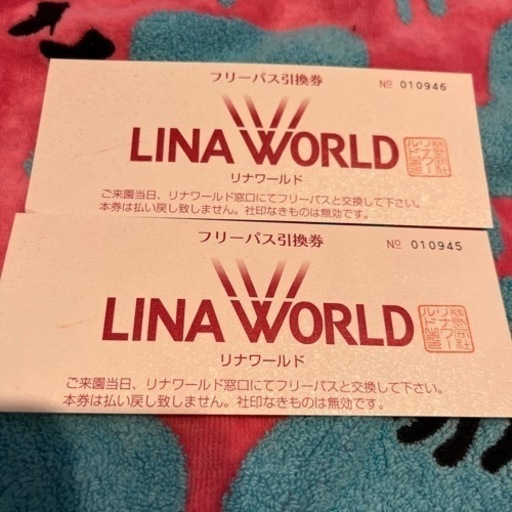 リナワールド　フリーパス引換券　2枚　値下げしました！！
