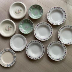 お皿11枚セット　バラでのお渡しも可能