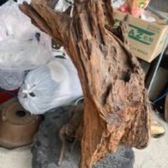 ◇木の台座　剥製を飾っていましたの画像