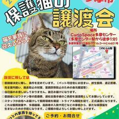 7月15日(土) 猫の譲渡会 in 多摩市