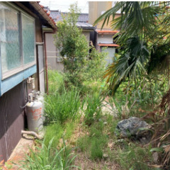 【30分／1袋1500円！】草むしり（45Lのゴミ袋使用）&除草...