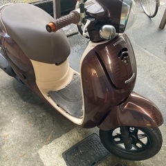 HONDA ジョルノ　af70