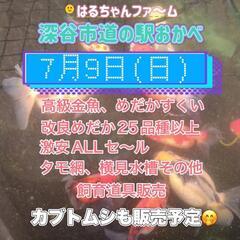 ７月９日　はるちゃんファ～ム
