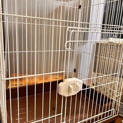 猫用ゲージ差し上げます