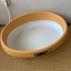 猫トイレ　中古の画像