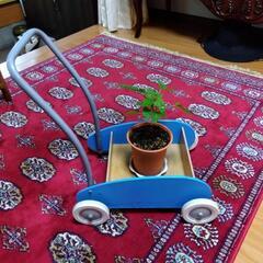 💮決まりましたベビー歩行器 等👶の画像