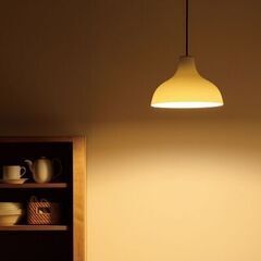 【廃番商品】無印良品 MUJI  LED白磁ペンダントライト・大 日本製 MJ1408