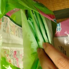 デオトイレ 猫用 シート 消臭・抗菌シート 20枚(10枚×2袋) おしっこ ペット用品 ユニチャームの画像