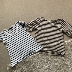 ワールド、フランドルボーダーTシャツ＆カットソー