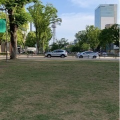 ☆夜、芝生の上で雑談☆ - 名古屋市