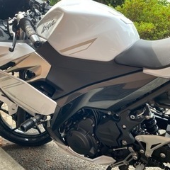 ninja400 パールブリザードホワイトの画像