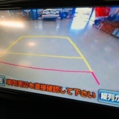 年齢、性別問わないカラーの画像