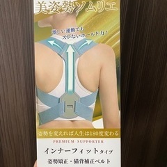 【新品未開封】【定価の約半額です】姿勢矯正、猫背補正ベルトMサイズ