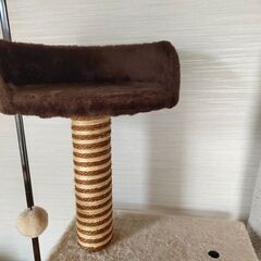 キャットタワーの画像