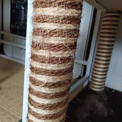 キャットタワーの画像