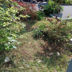 札幌市内、近郊で草むしり、草刈りのお手伝い致します！