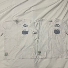 双子服 ローカルモーション