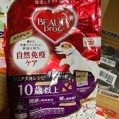 シニア犬用ドッグフード及びおやつ