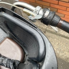電動自転車　アンジェリーナ?