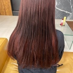 カラーモデル募集🩵¥2700