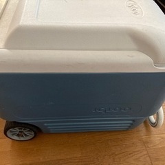 IGLOO イグルー マックスコールド 40QT