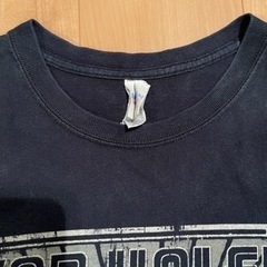 【レア】VAN HALEN 2015年 WORLD TOUR tシャツ ロックTシャツの画像