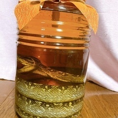 ハブ酒　古酒  30年以上前のお酒になります！の画像