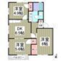 土浦市🏠敷金礼金なし🌸３DK⭐フリーレント1ヶ月🌸駐車場１台無料🦜