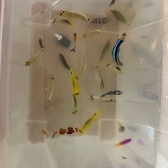 魚まとめ売りの画像