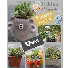 多肉植物の販売inうさぎ屋 - 展示会